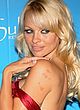 Pamela Anderson celebrating her 40th birthday pics