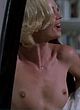 Nicollette Sheridan naked pics - nude caps from raw nerve