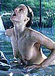 Jodie Foster naked pics - fully nude movie captures