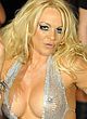 Pamela Anderson naked pics - topless and bikini shots
