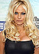 Pamela Anderson hard nips under see thru dress pics