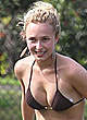 Hayden Panettiere sexy in bikini candids pics