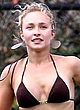 Hayden Panettiere shakes tits playing tennis pics