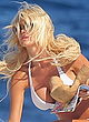 Victoria Silvstedt naked pics - tanning topless on a yacht