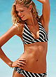 Erin Heatherton stunning hot bikini photoshoot pics