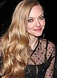 Amanda Seyfried flashes her lacy panties pics