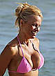 Pamela Anderson hard nipples under pink bikini pics
