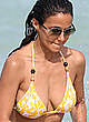 Emmanuelle Chriqui deep cleavage in yellow bikini pics