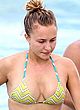 Hayden Panettiere bikini beach photos pics