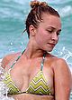 Hayden Panettiere wet butts and bikini photos pics
