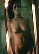 Nicole Ari Parker naked pics - full frontal nude tits & pussy