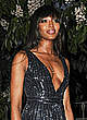 Naomi Campbell at the serpentine summer party pics