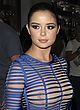Demi Rose see-through to nipple-pasties pics