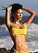 Lizzeth Acosta in yellow bikini on a beach pics