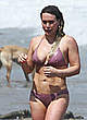 Hilary Duff in brown bikini on a beach pics