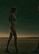 Malin Akerman naked pics - showing tits & ass in movie