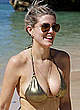 Ashley James cleavage in gold bikini pics