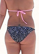 Britney Spears sexy ass in bikini pics