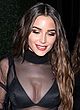 Olivia Culpo see-thru to bra & big boobs pics