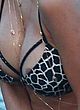 Nicole Scherzinger nip slip bikini malfunction pics