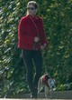 Kate Mara took her dog out for a walk pics