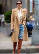 Emily Ratajkowski out and about in new york city pics