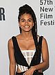 Zazie Beetz naked pics - posing in see-through outfit