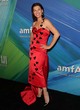 Milla Jovovich glowed on the red carpet pics