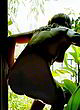 Camila Morgado nude ass, small tits in vergel pics