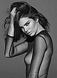 Kendall Jenner posing in sheer outfit pics
