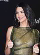 Kendall Jenner naked pics - sheer sparkling dress