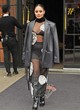 Vanessa Hudgens sizzles in sheer outfit in ny pics