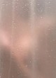 Kari Wuhrer naked pics - slightly visible in shower