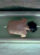 Jennifer Connelly naked pics - nude and sexy in bathtub