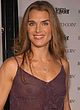 Brooke Shields nude and see thru pictures pics