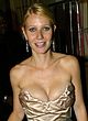 Gwyneth Paltrow naked pics - nude and seethru photos