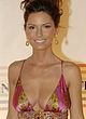 Shania Twain cleavage paparazzi pictures pics