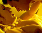Tenille Houston topless love scene nude clips