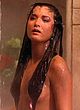Kelly Hu naked pics - nude and bikini pictures
