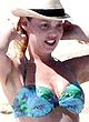 Katherine Heigl sunbathes in bikini on a beach pics