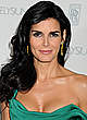 Angie Harmon slight cleavage in green dress pics