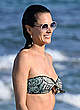 Alessandra Ambrosio wearing a bikini on a beach pics