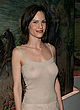 Hilary Swank naked pics - posing in transparent dress