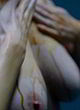 Eva Green perfect breasts in close up pics