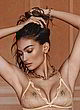 Kelly Gale naked pics - posing in fully sheer lingerie