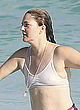 Drew Barrymore naked pics - see-through to tits, wet bea