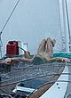 Shailene Woodley nude on the yacht pics