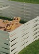 Amy Landecker naked pics - topless sunbathing in backyard