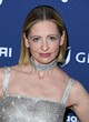 Sarah Michelle Gellar shimmers in silver dress pics