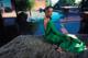 Tessa Thompson Tessa Thompson: Emerald Elegance by the Poolside pics